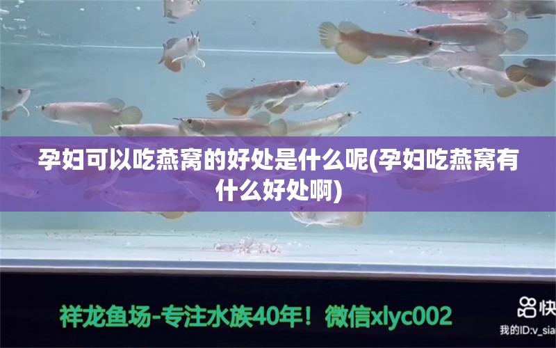 孕妇可以吃燕窝的好处是什么呢(孕妇吃燕窝有什么好处啊)