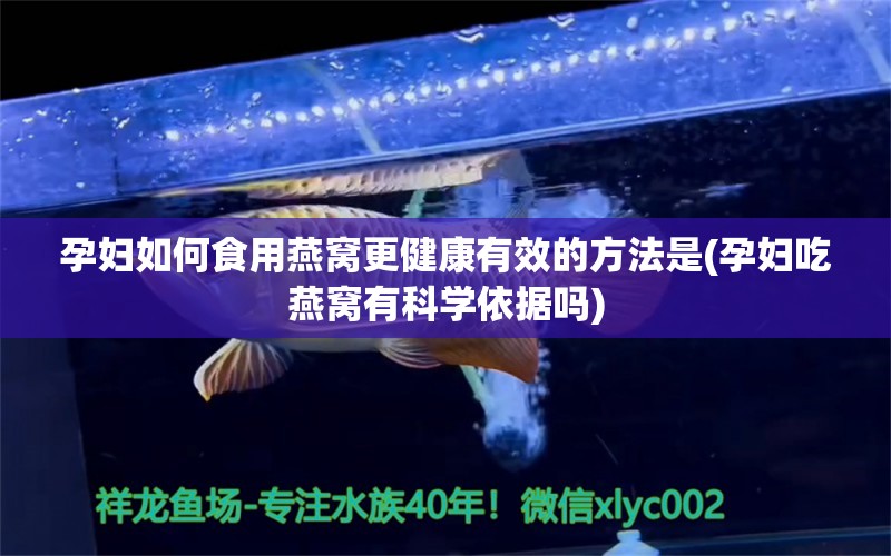 孕妇如何食用燕窝更健康有效的方法是(孕妇吃燕窝有科学依据吗) 马来西亚燕窝 第1张