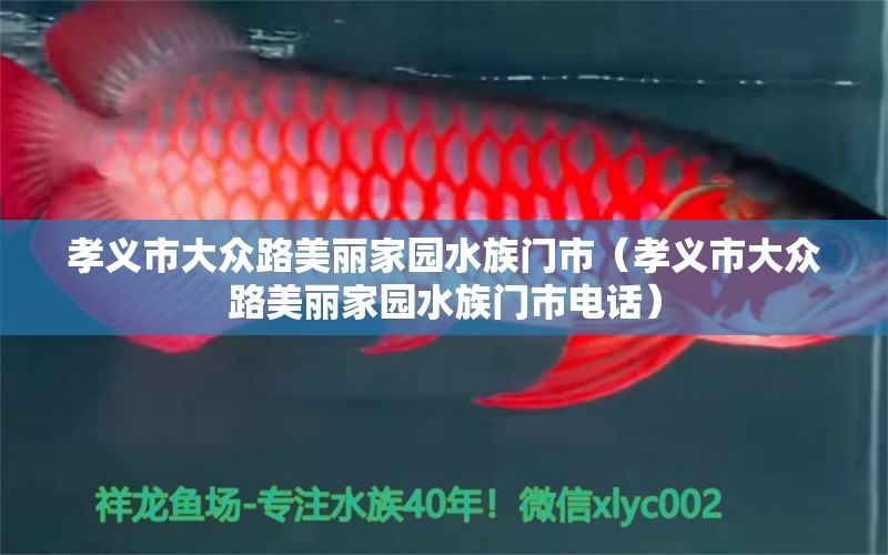 孝义市大众路美丽家园水族门市（孝义市大众路美丽家园水族门市电话）