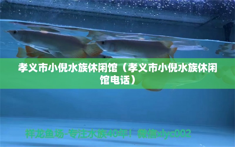 孝义市小倪水族休闲馆（孝义市小倪水族休闲馆电话）