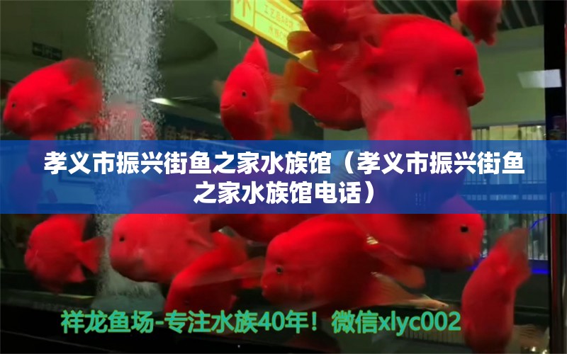 孝义市振兴街鱼之家水族馆（孝义市振兴街鱼之家水族馆电话） 全国水族馆企业名录