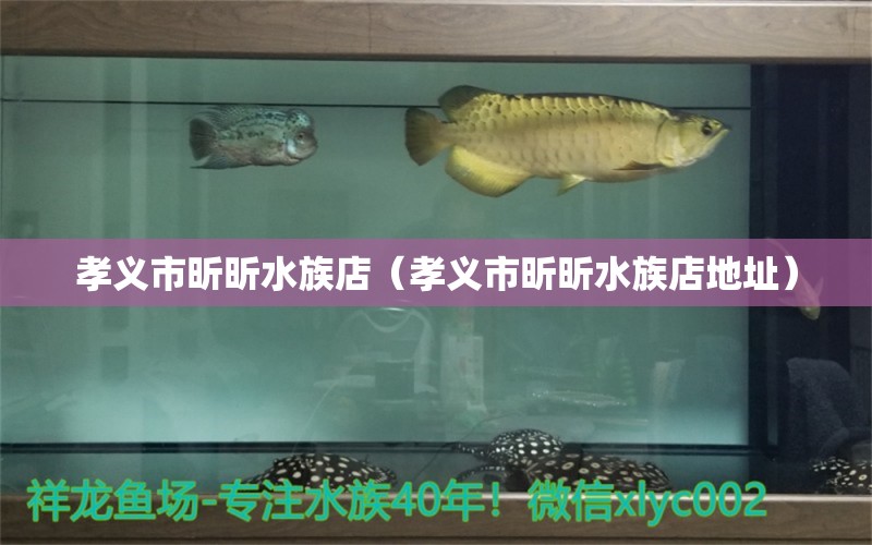 孝义市昕昕水族店（孝义市昕昕水族店地址） 全国水族馆企业名录