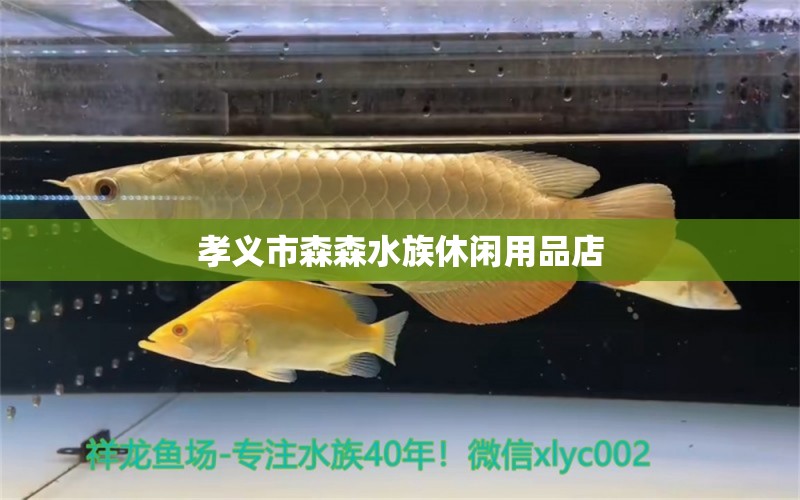 孝义市森森水族休闲用品店