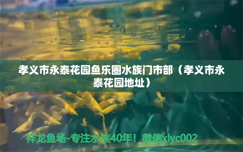 孝义市永泰花园鱼乐圈水族门市部（孝义市永泰花园地址） 全国水族馆企业名录