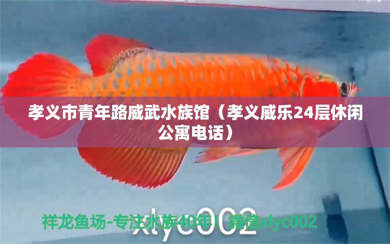 孝义市青年路威武水族馆（孝义威乐24层休闲公寓电话） 全国水族馆企业名录