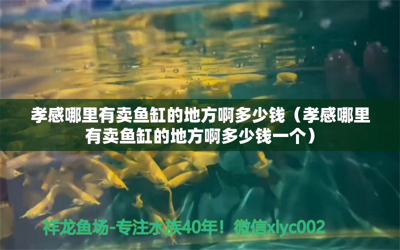 孝感哪里有卖鱼缸的地方啊多少钱（孝感哪里有卖鱼缸的地方啊多少钱一个）