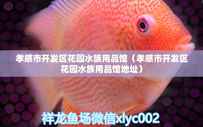 孝感市开发区花园水族用品馆（孝感市开发区花园水族用品馆地址）