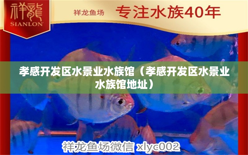 孝感开发区水景业水族馆（孝感开发区水景业水族馆地址） 全国水族馆企业名录