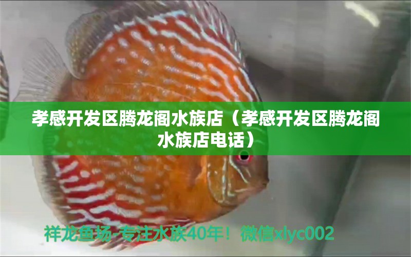 孝感开发区腾龙阁水族店（孝感开发区腾龙阁水族店电话）