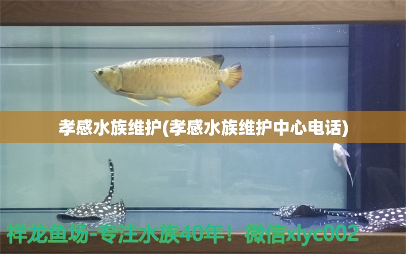 孝感水族维护(孝感水族维护中心电话)