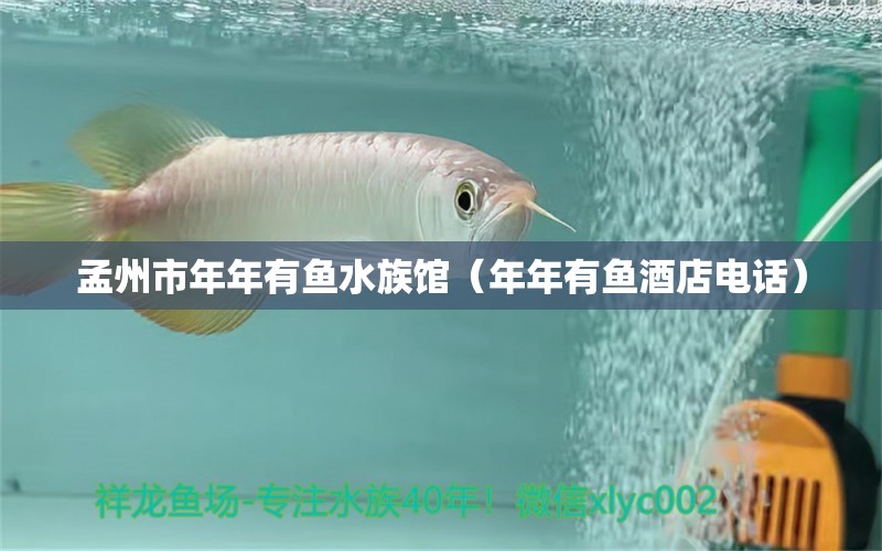 孟州市年年有鱼水族馆（年年有鱼酒店电话） 全国水族馆企业名录