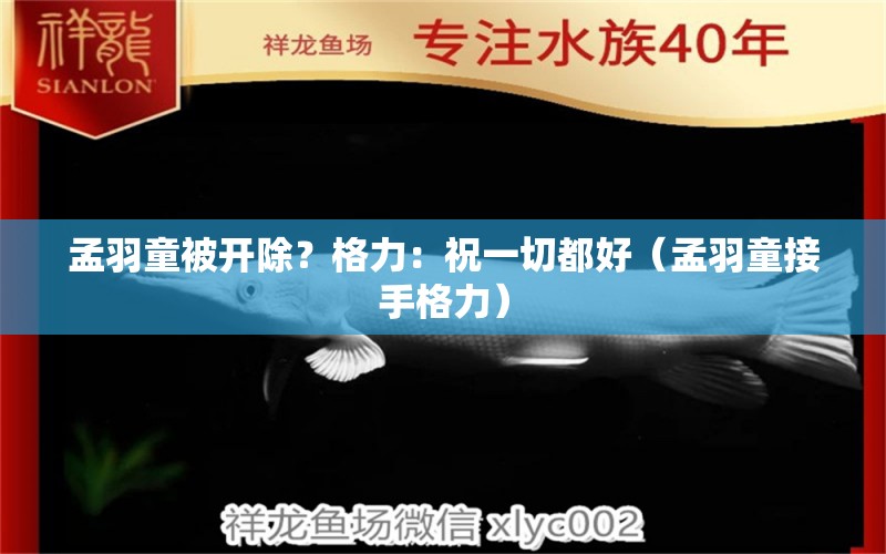 孟羽童被开除？格力：祝一切都好（孟羽童接手格力） 哥伦比亚巨暴鱼苗