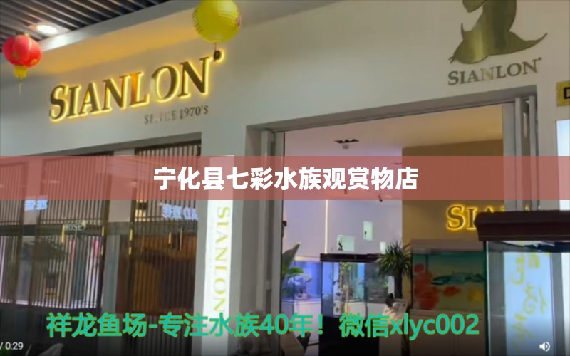 宁化县七彩水族观赏物店