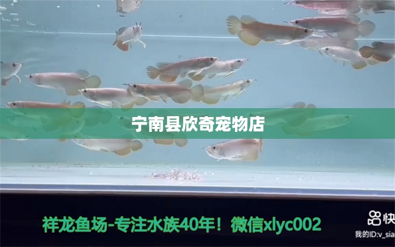 宁南县欣奇宠物店 全国水族馆企业名录