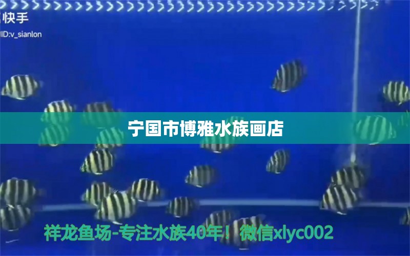 宁国市博雅水族画店 全国水族馆企业名录