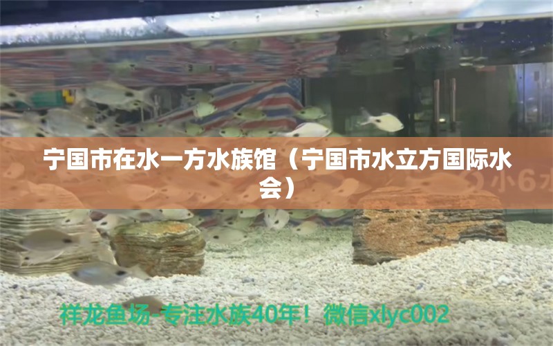 宁国市在水一方水族馆（宁国市水立方国际水会）