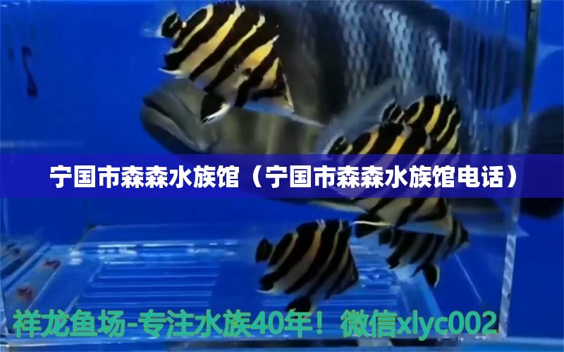 宁国市森森水族馆（宁国市森森水族馆电话）