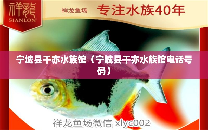 宁城县千亦水族馆（宁城县千亦水族馆电话号码）