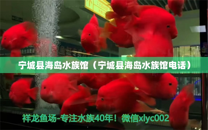 宁城县海岛水族馆（宁城县海岛水族馆电话） 全国水族馆企业名录