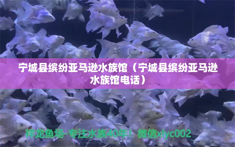 宁城县缤纷亚马逊水族馆（宁城县缤纷亚马逊水族馆电话） 全国水族馆企业名录