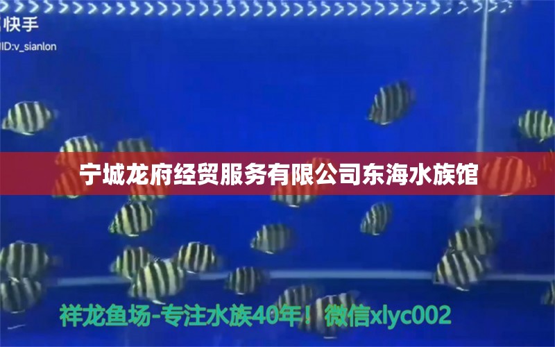 宁城龙府经贸服务有限公司东海水族馆 全国水族馆企业名录