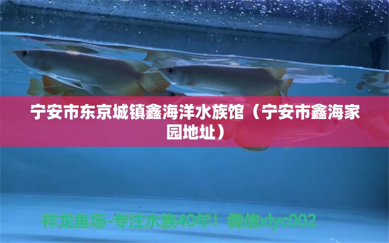 宁安市东京城镇鑫海洋水族馆（宁安市鑫海家园地址） 全国水族馆企业名录