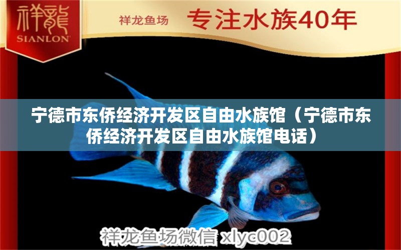 宁德市东侨经济开发区自由水族馆（宁德市东侨经济开发区自由水族馆电话） 全国水族馆企业名录