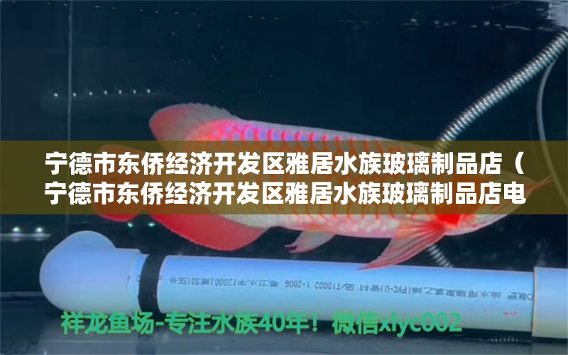 宁德市东侨经济开发区雅居水族玻璃制品店（宁德市东侨经济开发区雅居水族玻璃制品店电话） 全国水族馆企业名录