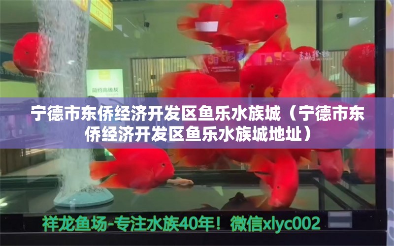 宁德市东侨经济开发区鱼乐水族城（宁德市东侨经济开发区鱼乐水族城地址）