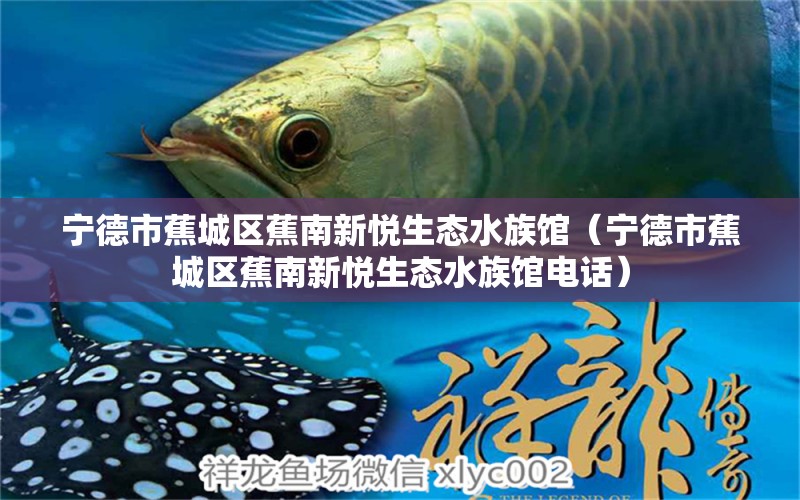 宁德市蕉城区蕉南新悦生态水族馆（宁德市蕉城区蕉南新悦生态水族馆电话） 全国水族馆企业名录