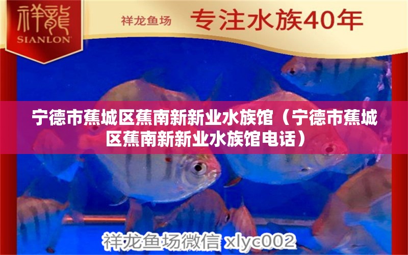 宁德市蕉城区蕉南新新业水族馆（宁德市蕉城区蕉南新新业水族馆电话）