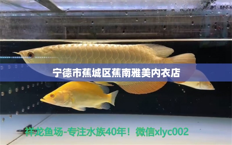 宁德市蕉城区蕉南雅美内衣店 全国水族馆企业名录