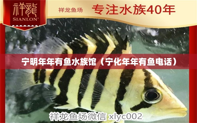 宁明年年有鱼水族馆（宁化年年有鱼电话）