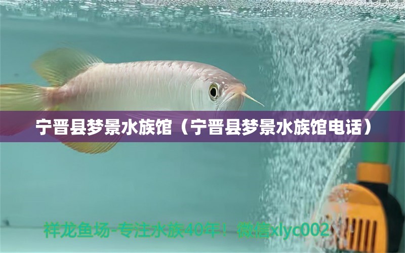 宁晋县梦景水族馆（宁晋县梦景水族馆电话） 全国水族馆企业名录