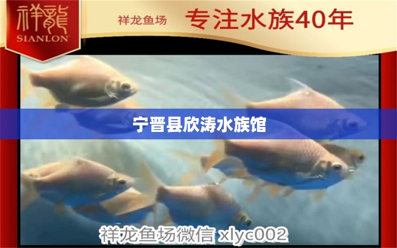 宁晋县欣涛水族馆 全国水族馆企业名录