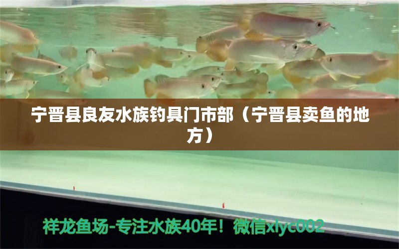 宁晋县良友水族钓具门市部（宁晋县卖鱼的地方）