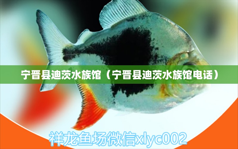 宁晋县迪茨水族馆（宁晋县迪茨水族馆电话）