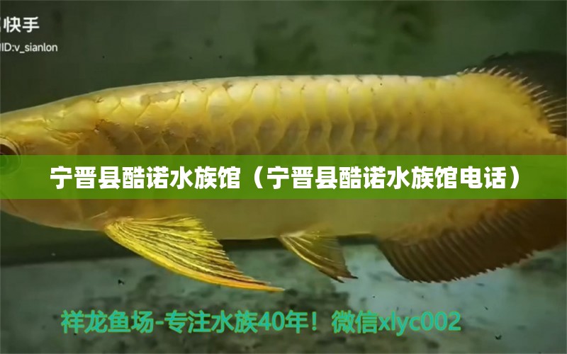 宁晋县酷诺水族馆（宁晋县酷诺水族馆电话）