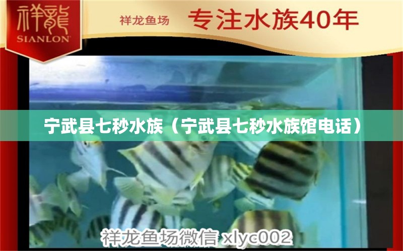 宁武县七秒水族（宁武县七秒水族馆电话）