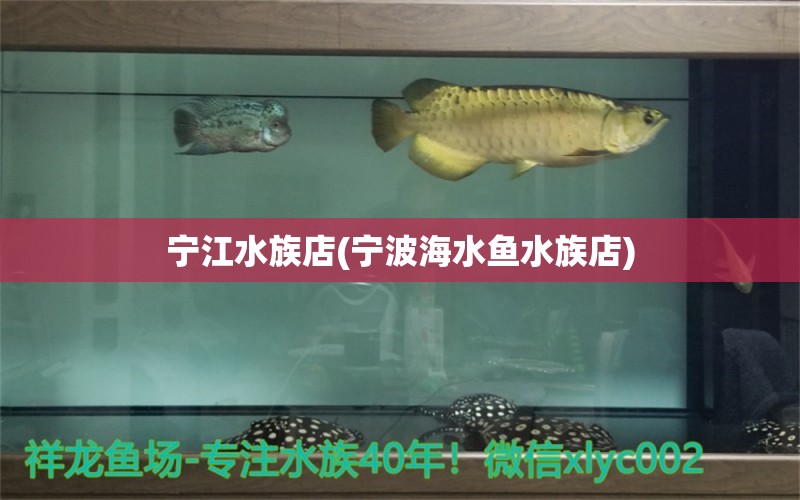 宁江水族店(宁波海水鱼水族店)