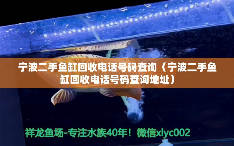 宁波二手鱼缸回收电话号码查询（宁波二手鱼缸回收电话号码查询地址）