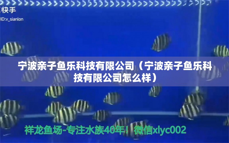 宁波亲子鱼乐科技有限公司（宁波亲子鱼乐科技有限公司怎么样） 全国水族馆企业名录