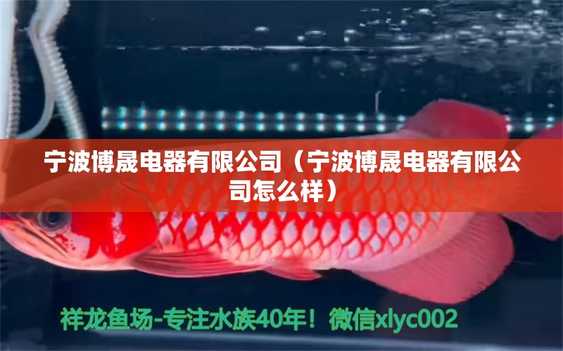 宁波博晟电器有限公司（宁波博晟电器有限公司怎么样） 全国水族馆企业名录