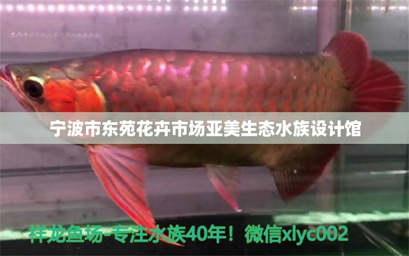 宁波市东苑花卉市场亚美生态水族设计馆