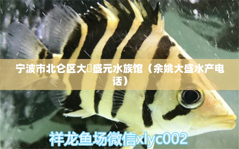 宁波市北仑区大碶盛元水族馆（余姚大盛水产电话）