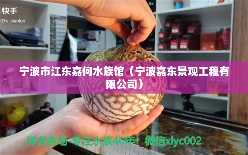 宁波市江东嘉何水族馆（宁波嘉东景观工程有限公司）