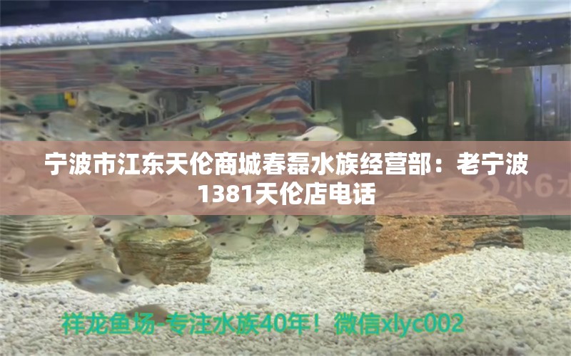 宁波市江东天伦商城春磊水族经营部：老宁波1381天伦店电话