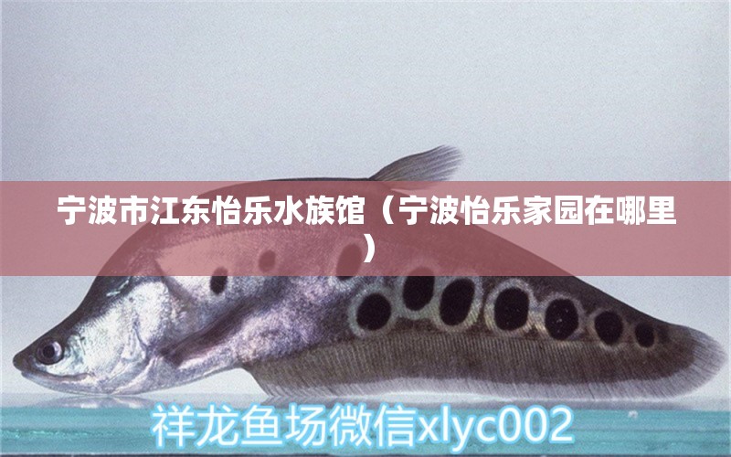 宁波市江东怡乐水族馆（宁波怡乐家园在哪里）