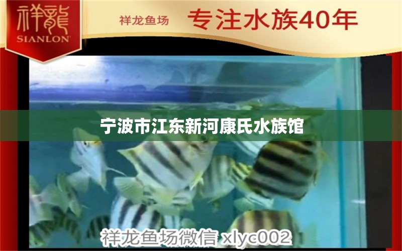 宁波市江东新河康氏水族馆