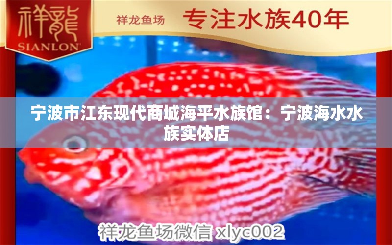 宁波市江东现代商城海平水族馆：宁波海水水族实体店 全国水族馆企业名录